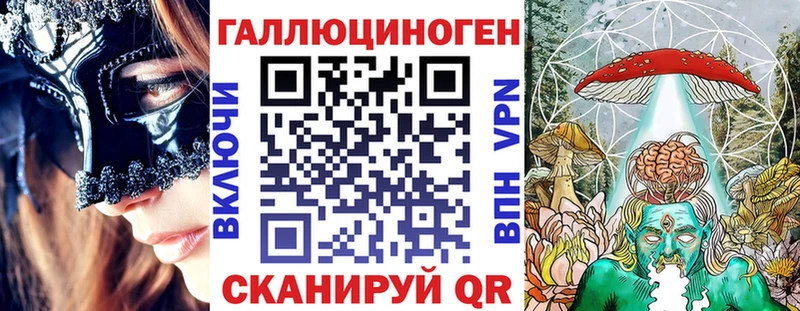 купить Бородино Галлюциногенные грибы Cubensis